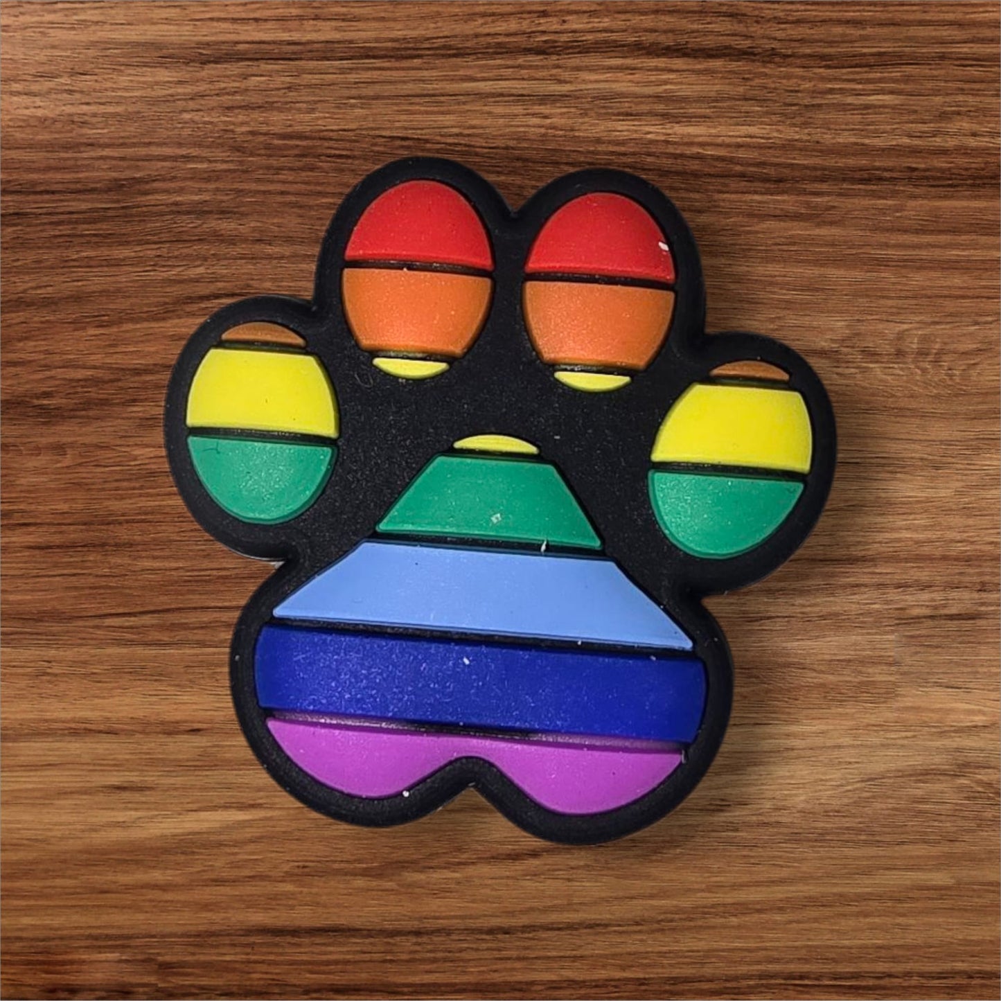 Rainbow Paw Focal